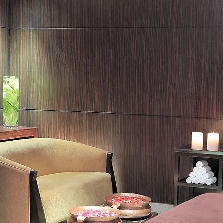 Hotel Hyatt Regency International Airport 5*