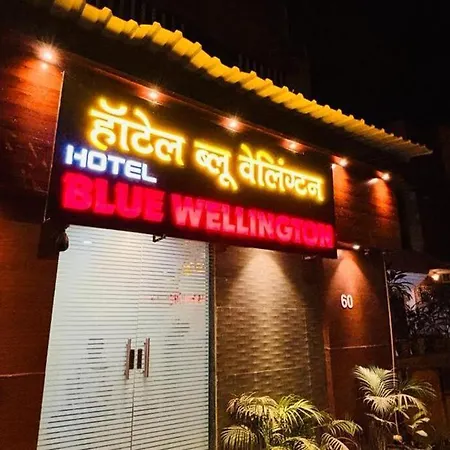 Blue Wellingten Hotel 3*