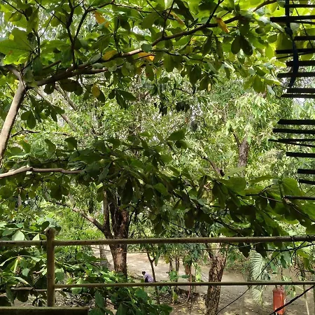 The Culture House Villa Mumbai