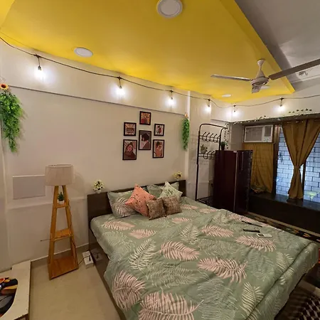 Still Space Serene Cozy Nest In Pali Hill Bandra
