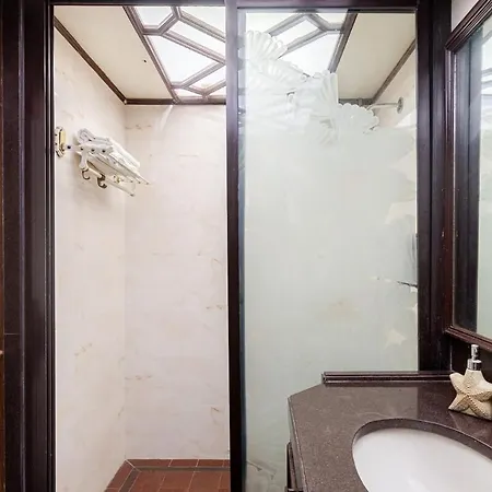 Apartment Bachis Nest 2bhk Penthouse With Private Terrace Dadar *