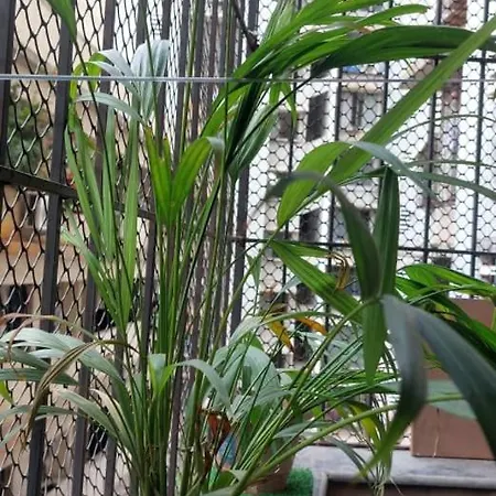 Iss 506 Private With Balcony Andheri West