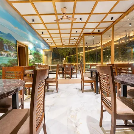 Hotel Treebo Amber International Airport T2