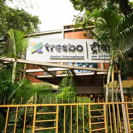 Treebo Amber International Airport T2 Hotel