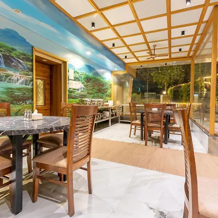 Hotel Treebo Amber International Airport T2