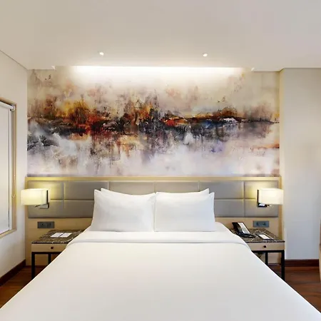 Radisson Andheri Midc 5* Mumbai