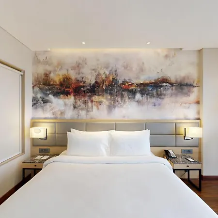 Radisson Andheri Midc Hotel 5*