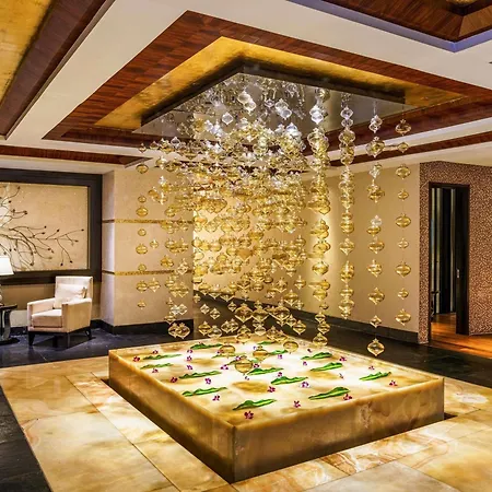 Hotel Sofitel Bkc 5*