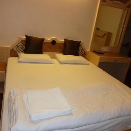 Hotel Karan Palace 3*