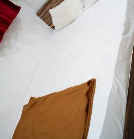 Guest house Shree Residency Mtdc Gust House *