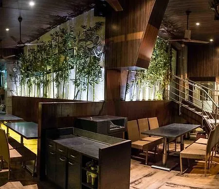 Oriental Aster - International Airport 4* Mumbai