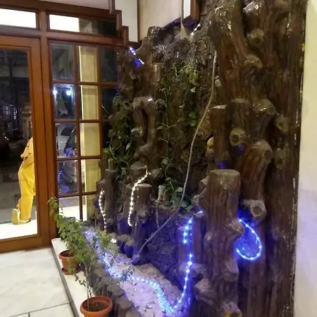 Hotel Garden 3*