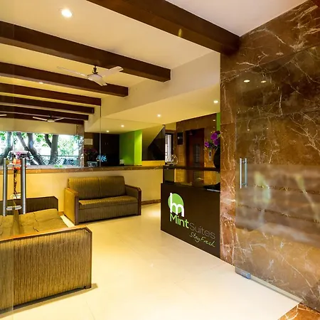 Mint Domestic Airport Hotel 3*
