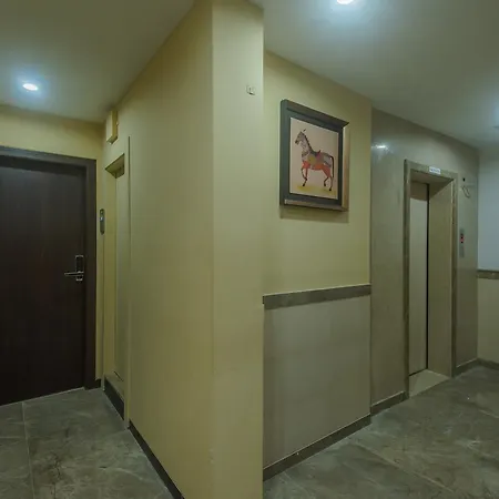 Oyo 4123 Godwin Hotel 3*
