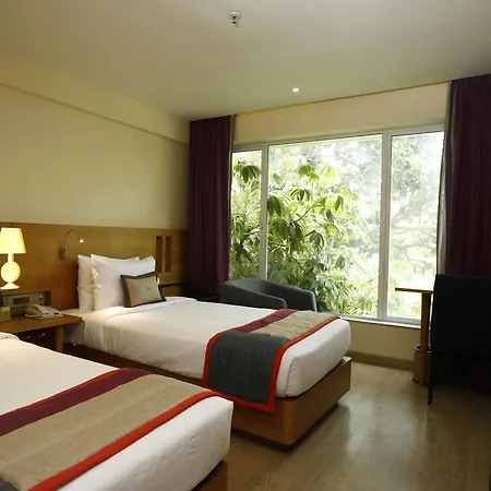 Hotel Aureole Hotel