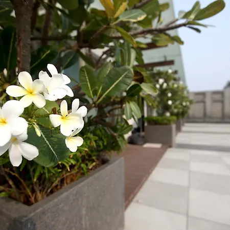 Mirage Hotel, International Airport 4*