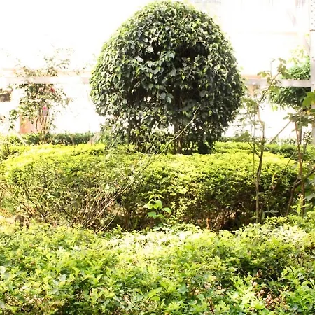 Boutique In Andheri East, Mumbai, By Guesthouser 10768 Hotel 3*