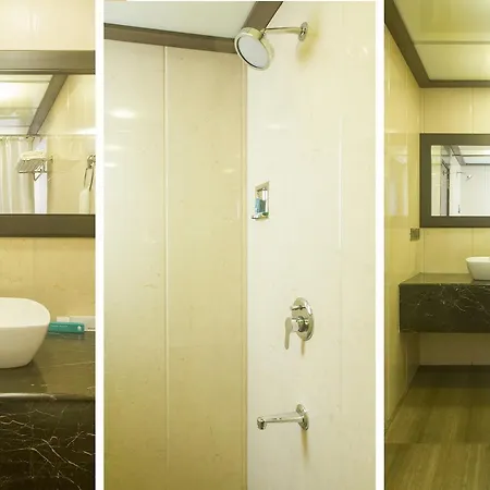Hotel Treebo Trend Rosewood 3*