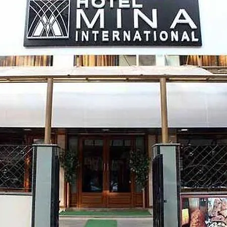 Mina International