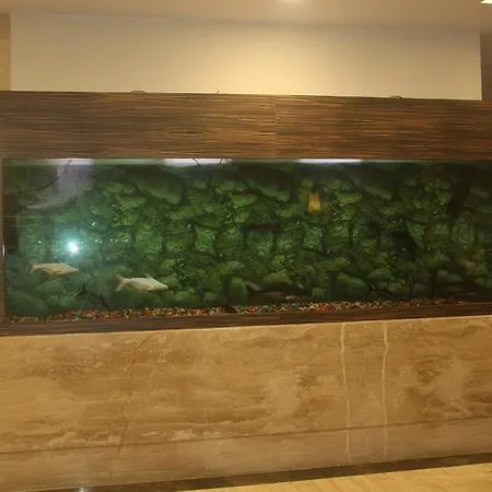 Hotel K Stars