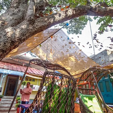 Hostel Namastey Backpackers