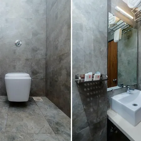 Oyo 17028 Aviva Residency Hotel Mumbai