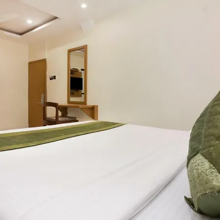Hotel Residency Park Near Masjid Rly Station South 3*