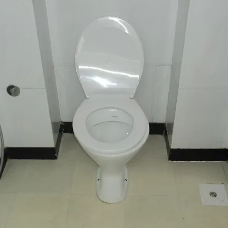 Celeste Colaba Hotel 2*