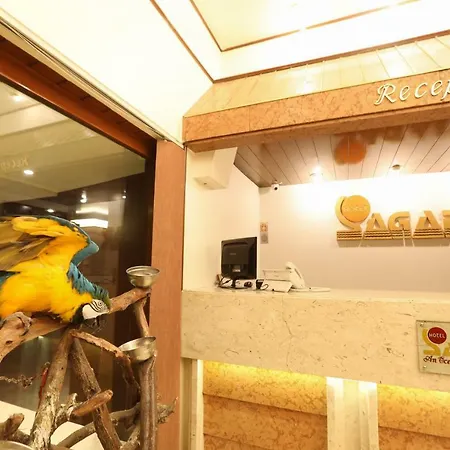 Sagar