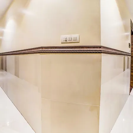 Oyo 9187 Adlon International Hotel 3*