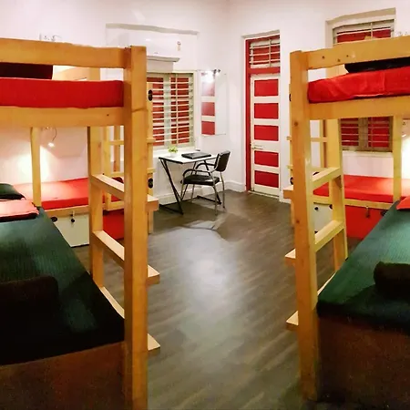 Hostel Backpackers