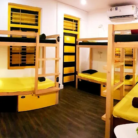 Hostel Backpackers