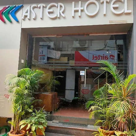 Aster Near Airport Apartment