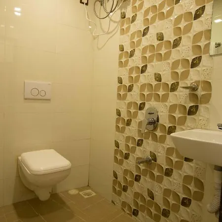 Hotel Apsara- Near J J Hospital Mumbai