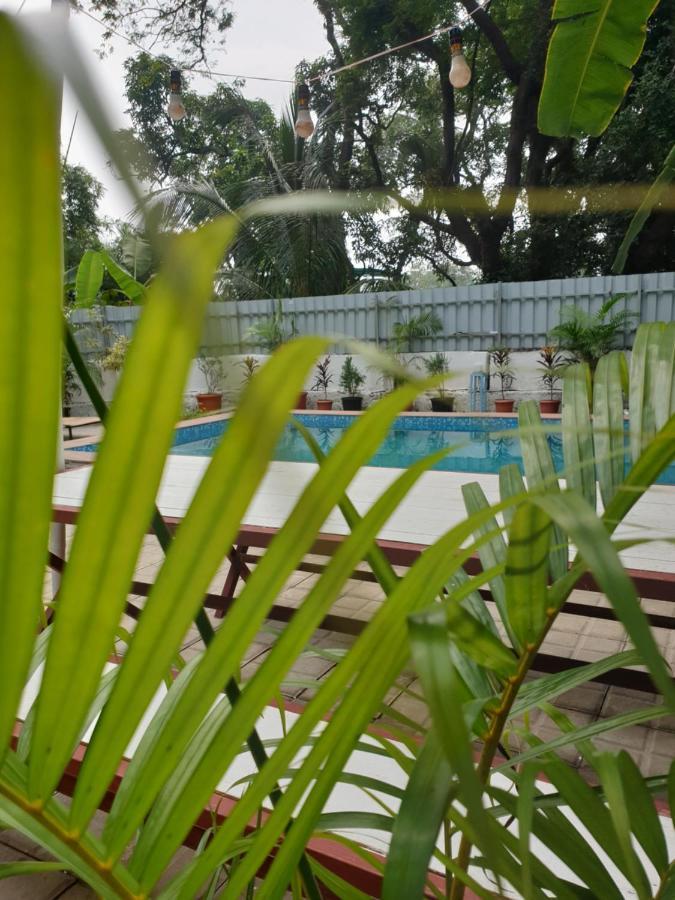 Holiday home Rose Villa *