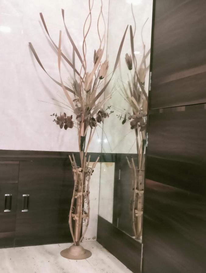Hotel Qamar