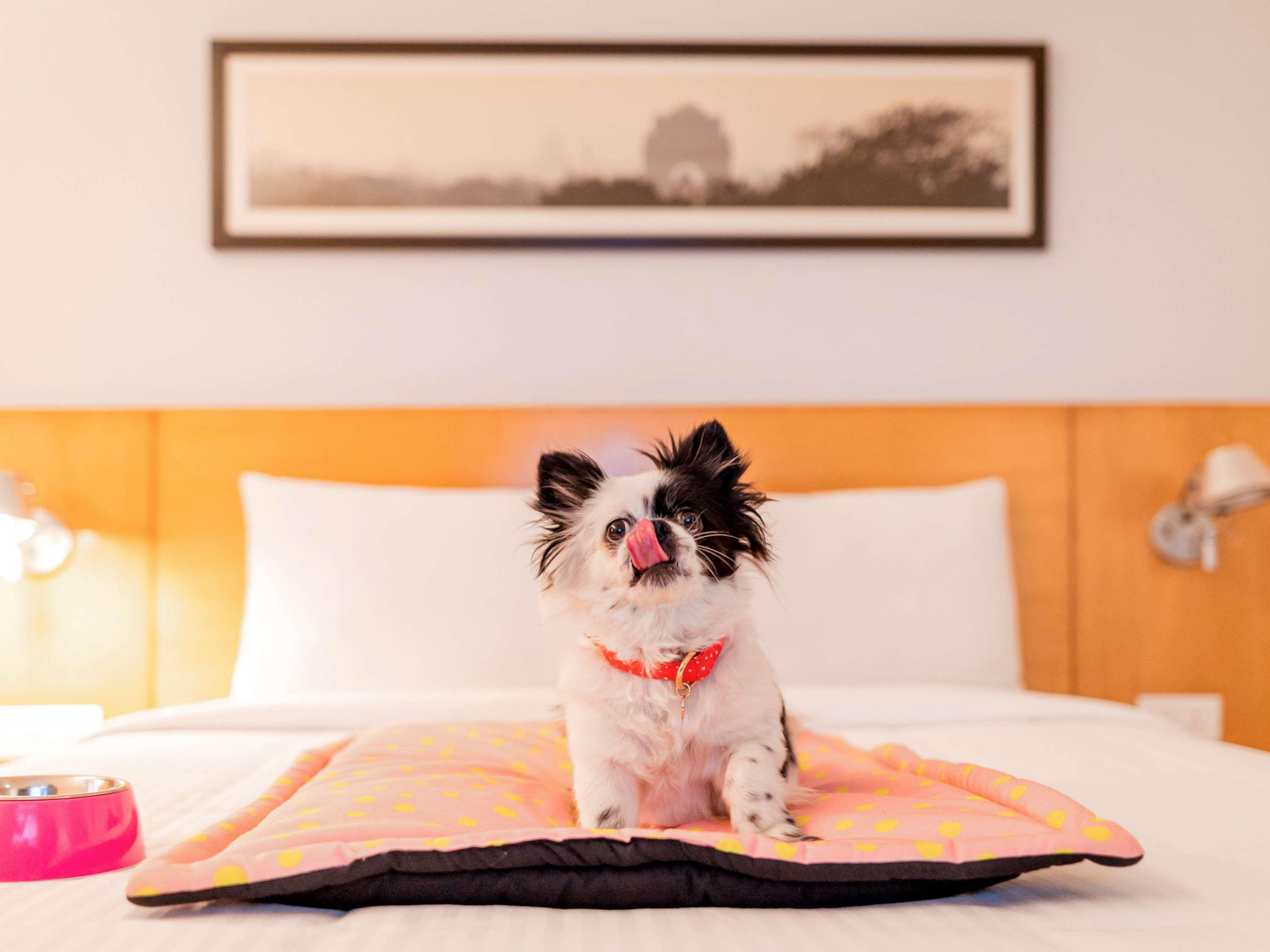Ibis Airport - An Accor Brand 3*