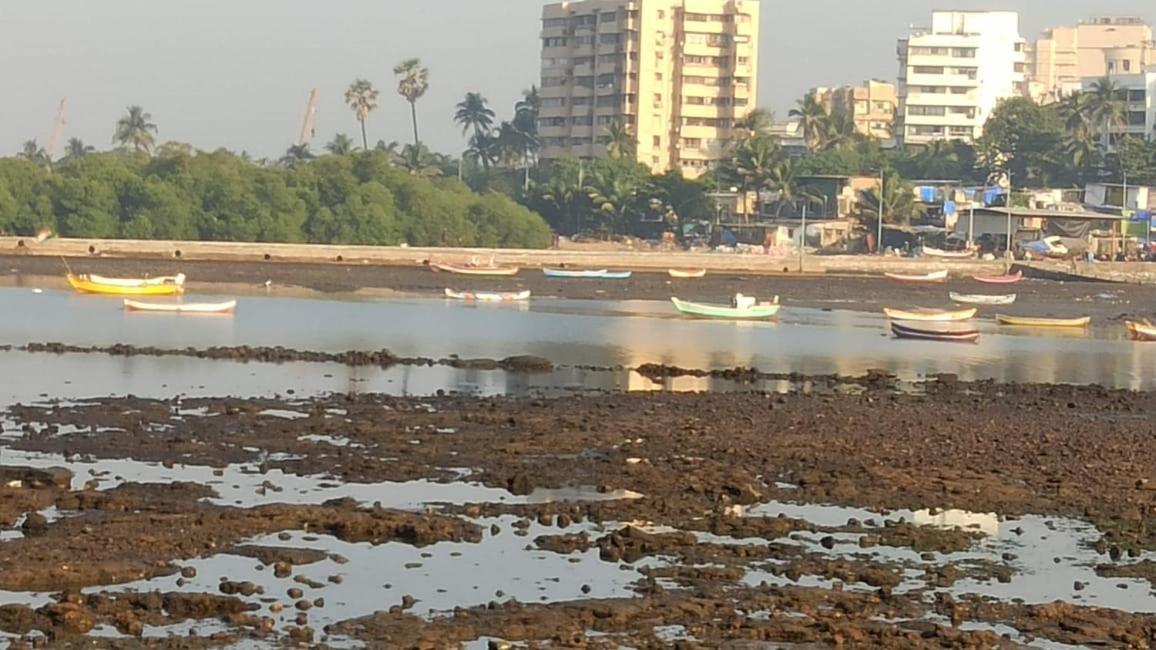 Seaview Bandra W Nr Taj Indian Women Only * Mumbai