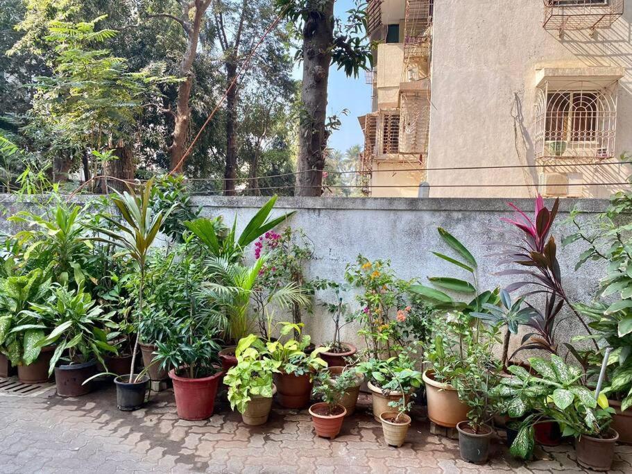 Apartment Benston 203, Off Carter Road, Bandra West By Connekt Homes Mumbai