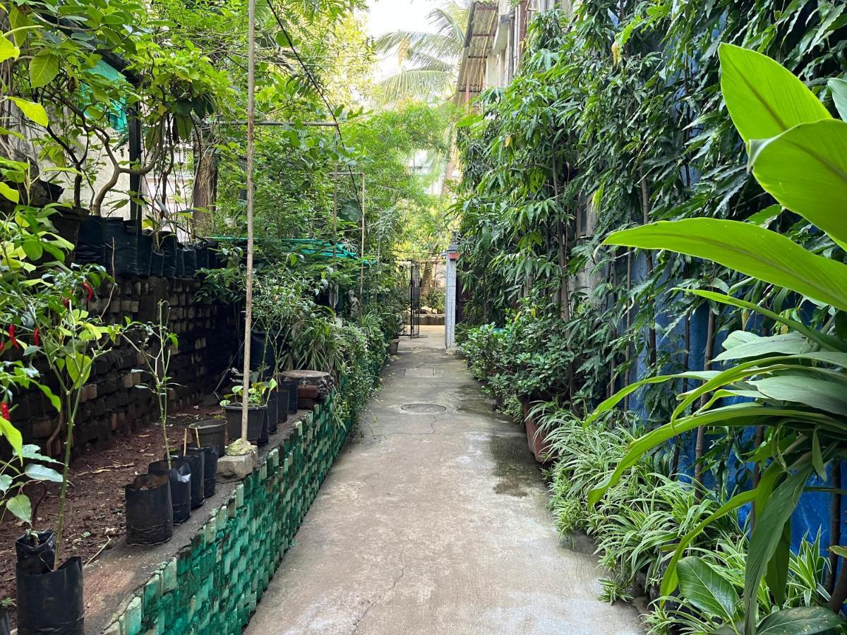 Bella * Mumbai