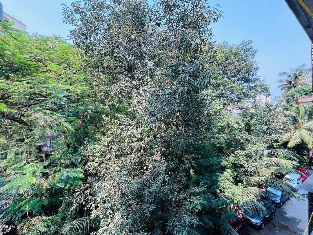 Khar West : Apple Apartment *