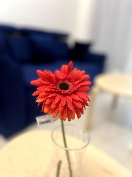 La Valentine 1 Bhk Apartment *