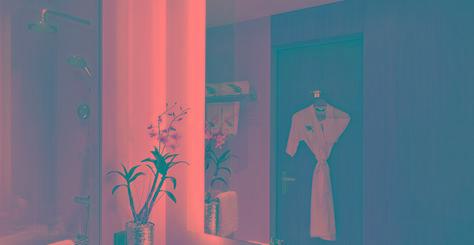 Meluha - The Fern Hotel 5*