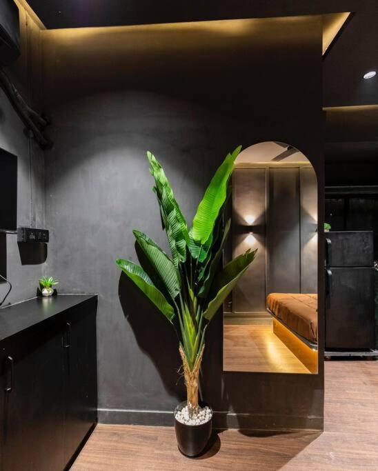 Apartment Welcome To The Darker Side *