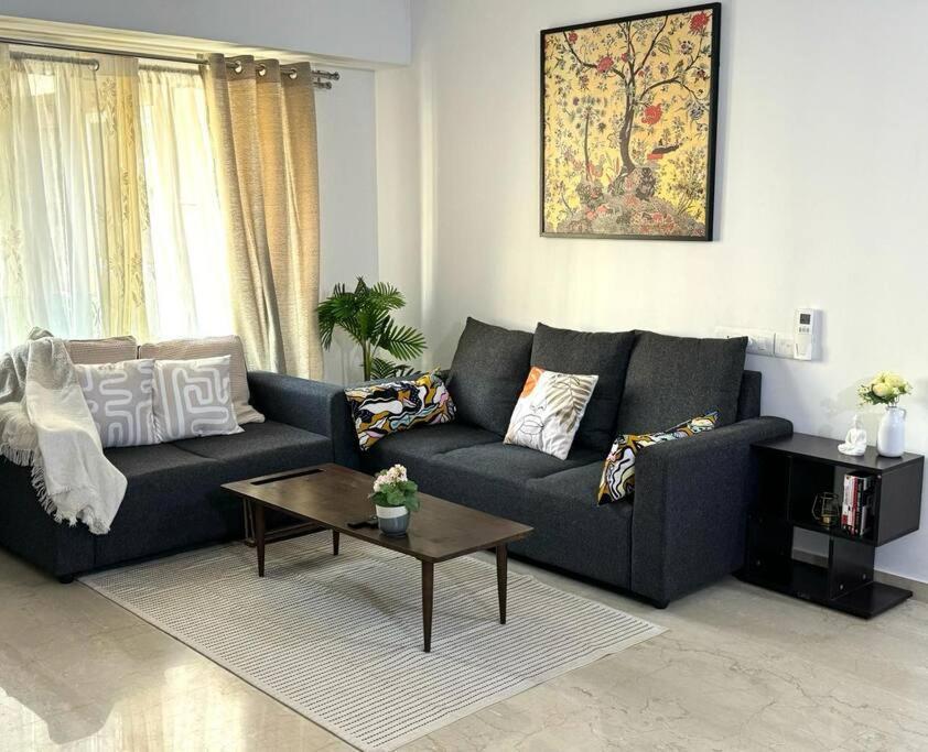 The Cozy Nest! Apartment *