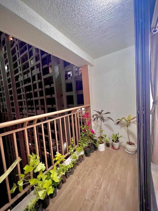 Hillview Comfy Flat In Dahisar Mumbai