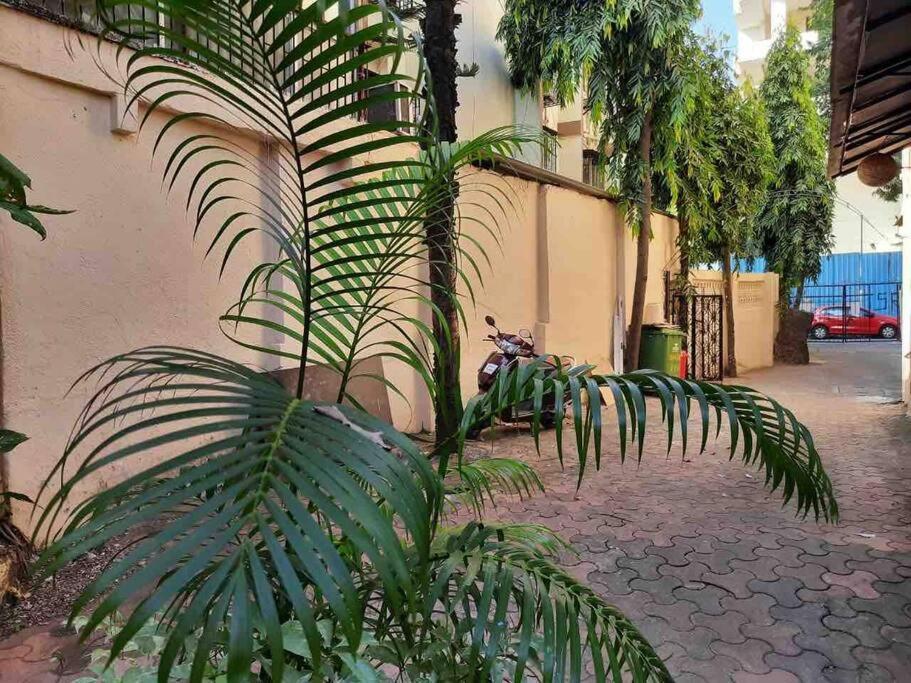 Apartment Independent Garden Cottage-bandra-carter Road *