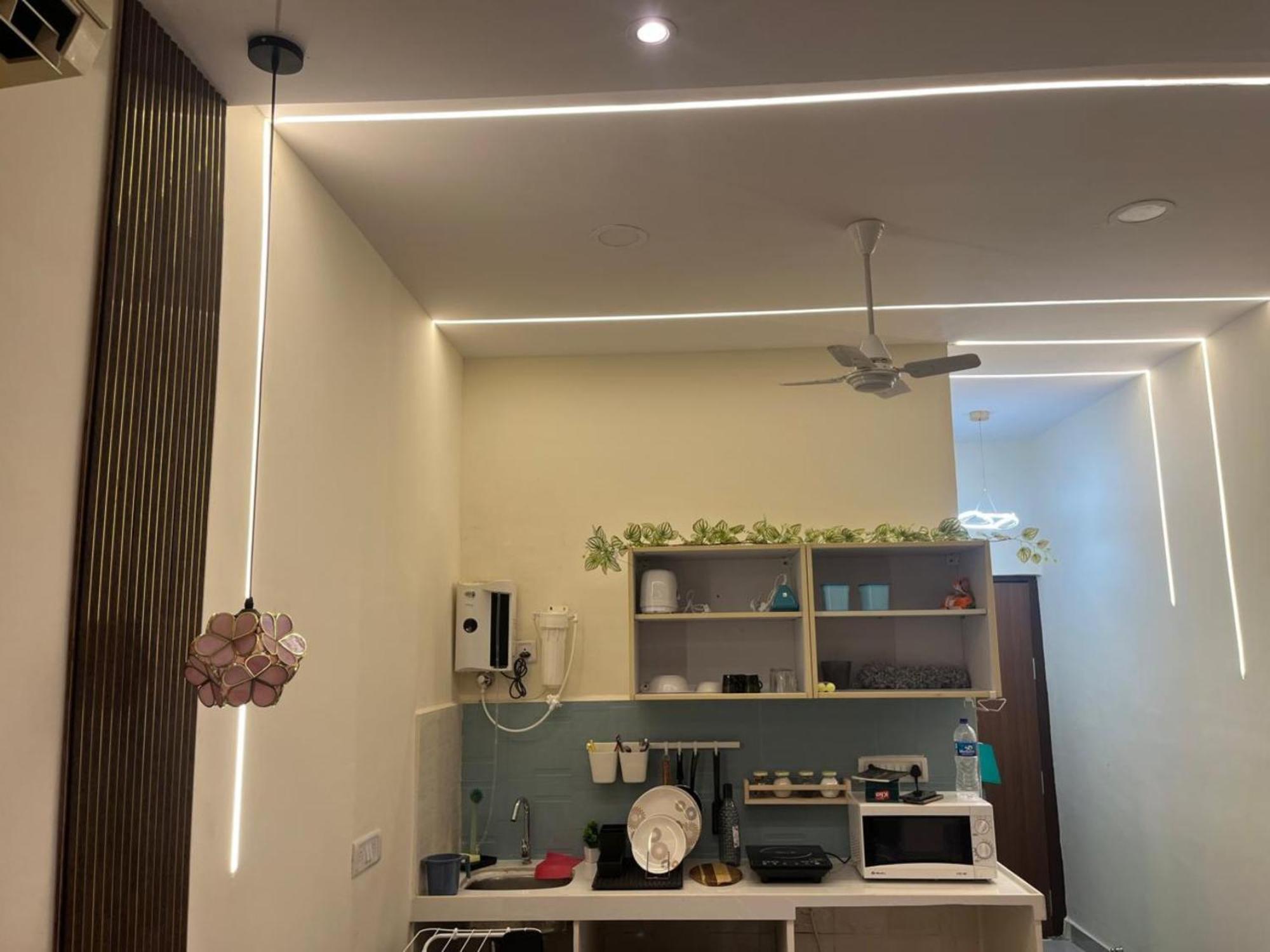 Ivy Splendour Private B, Oshiwara