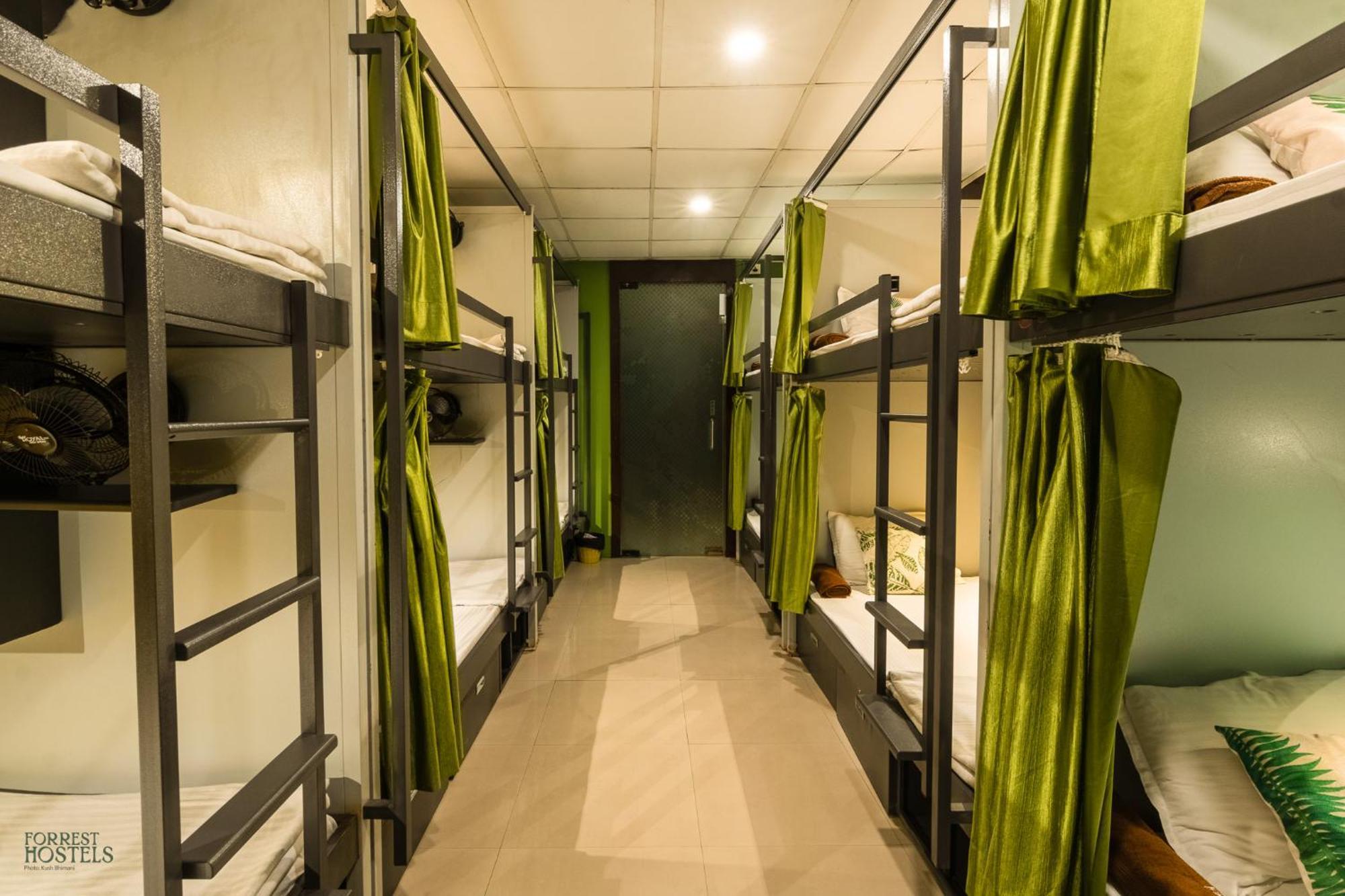 Hostel Forrest *