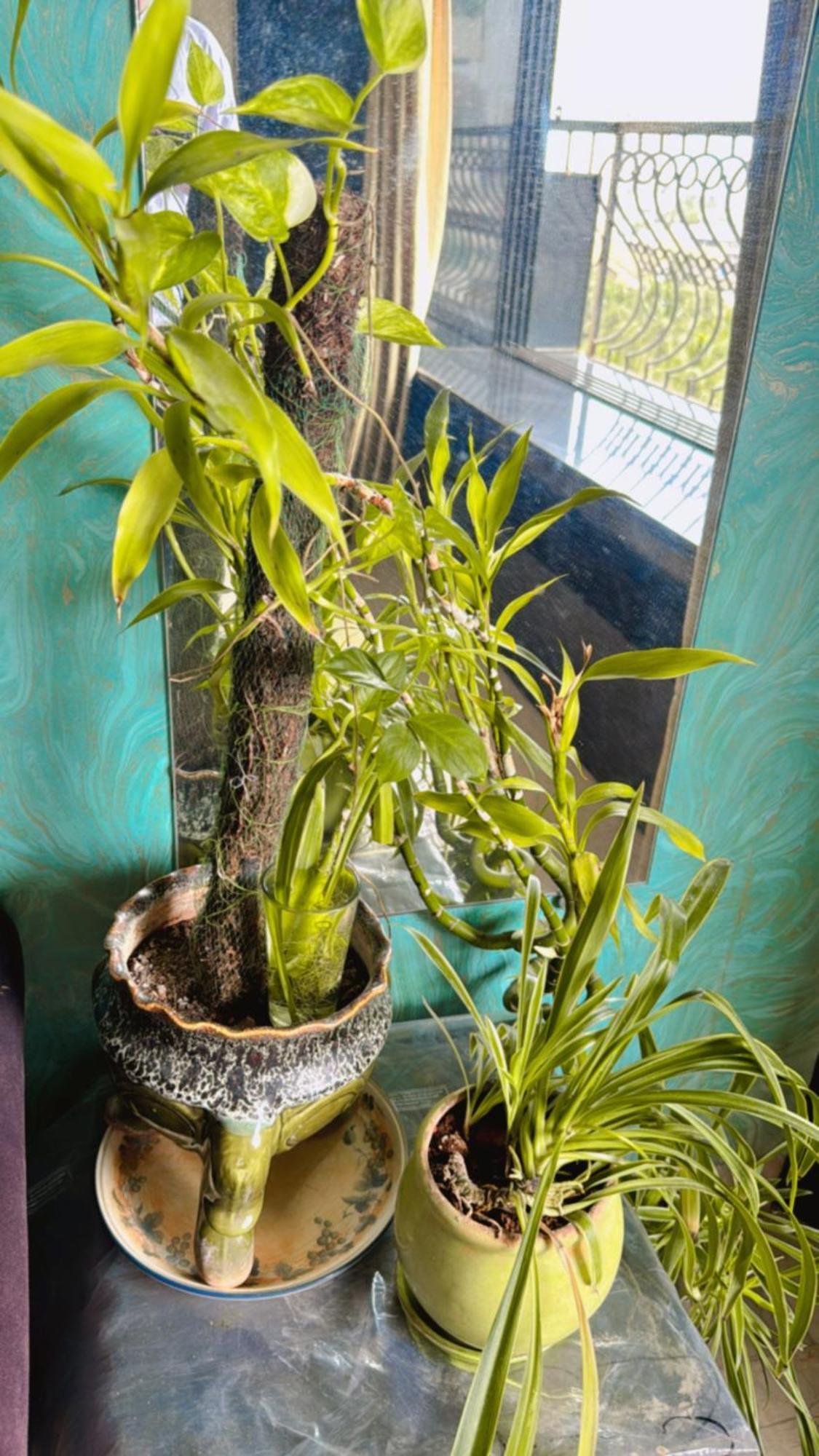 Pixiestays Mumbai